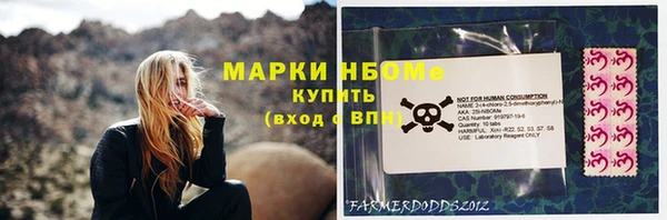 шишки Абаза