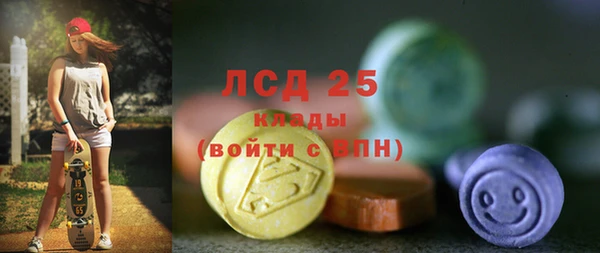 шишки Абаза