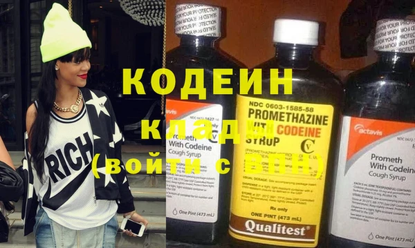 шишки Абаза