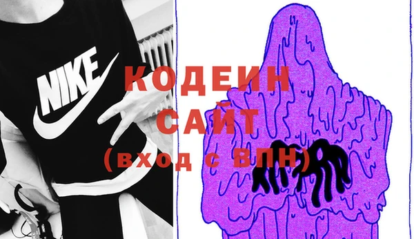 шишки Абаза