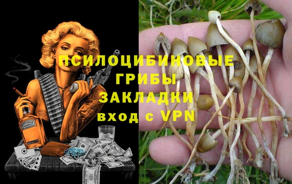 шишки Абаза