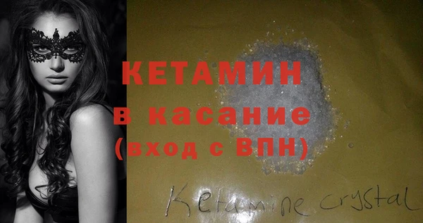 шишки Абаза