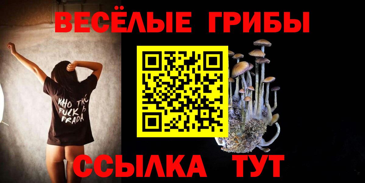 где продают   Галлюциногенные грибы MAGIC MUSHROOMS  Вход с VPN  Ялуторовск 
